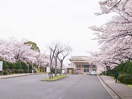 愛知学院大学剣道部