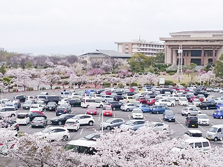 愛知学院大学剣道部